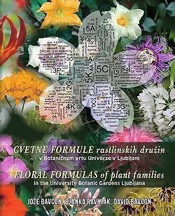 Shema cvetne formule in cvetnega prereza