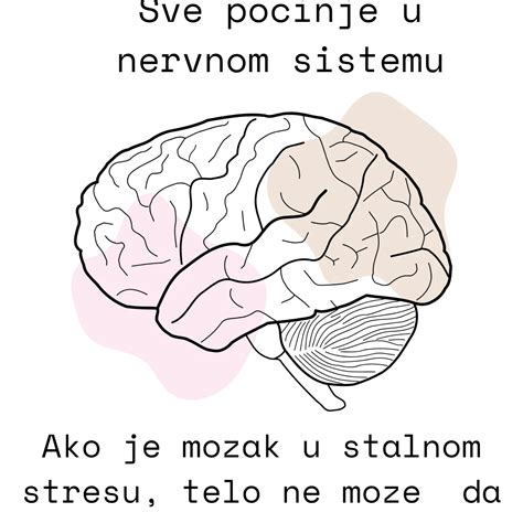 Ilustracija tetrarhije, Dioklecijanovega vladnega sistema