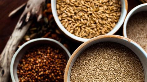 Ilustracija različnih vrst žitaric in psevdožitaric, kot so pšenica, proso, ajda, kvinoja.