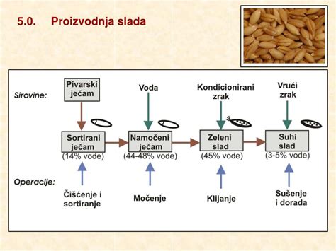 Shema proizvodnje slada iz ječmena.