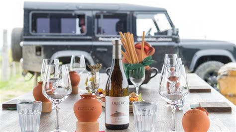 vinogradi v Hercegovini ali degustacija oljčnega olja