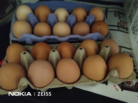 Fotografija različnih vrst kokošjih jajc