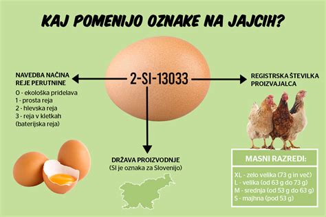 Inforgrafika o ustvarjanju rastlinskih odtisov na jajcih