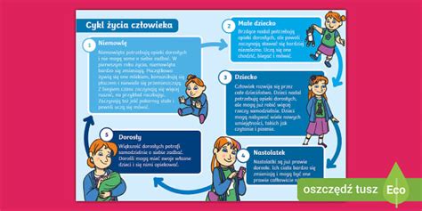 Infografika z oznakami na embalaži živil (rok uporabnosti, sestavine, poreklo)