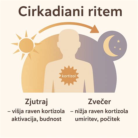 Inforgrafika, ki prikazuje cirkadialni ritem in vpliv menjave časovnih pasov na notranjo uro.