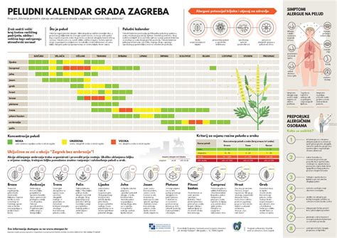 Alergije - infografika