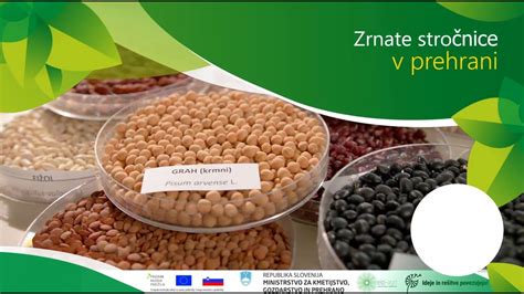 Infografika: Pregled ključnih hranil v veganski prehrani in viri le-teh (stročnice, žita, zelenjava, semena).