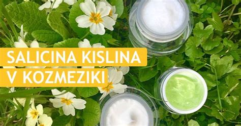 Infografika ključnih veganskih sestavin v kozmetiki