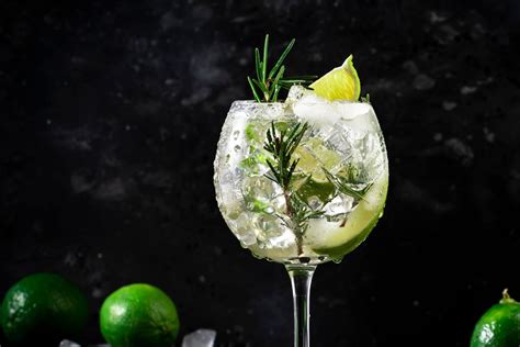 fotografija skutine torte z gin tonik žele plastjo, okrašeno z rezinami limete