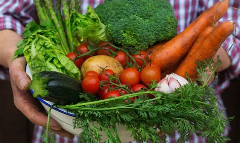 sezonska pomladanska zelenjava na tržnici