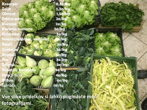 nabor sveže pomladanske zelenjave