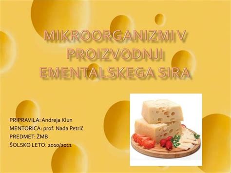 fotografija hlebca ementalskega sira z značilnimi luknjami