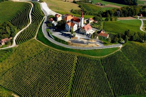 Panoramska fotografija vinogradov Jeruzalem Ormož