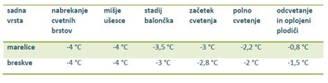 diagram, ki prikazuje optimalne temperature pečenja bureka in pit v različnih fazah