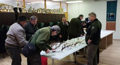 Simbolična slika divjadi v naravnem okolju.