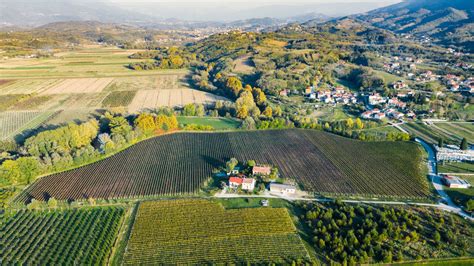 Fotografija vasi Male Žablje z vinogradi in okoliškimi griči.