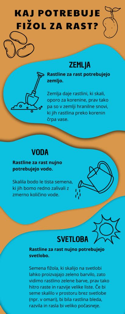 Infografika o gojenju fižola