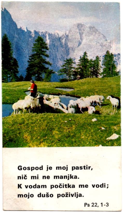 Fotografija tradicionalne sirarne ali pastirja pri delu z ovcami in sirom