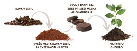 Fotografija kavne usedline na vrtu