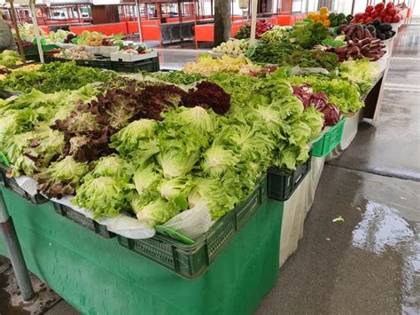 Prikaz raznolikosti sveže zelenjave na tržnici