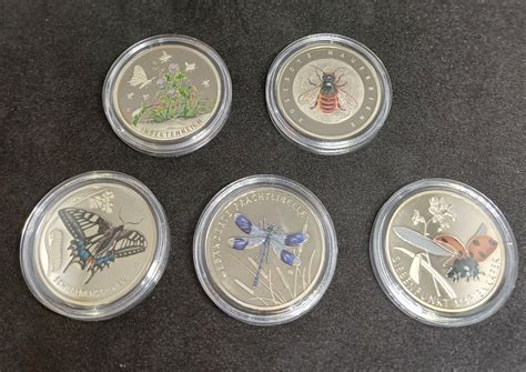 Slika različnih barvnih sort paprike