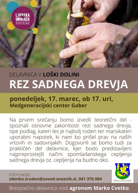 Fotografija domačega sadnega chutneyja