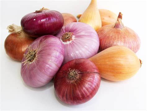 Ilustracija različnih vrst omak za pico (rdeča, bela, pesto)