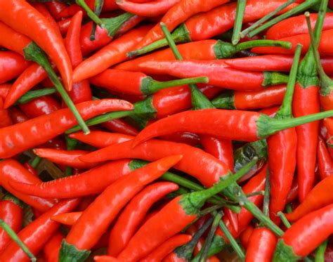 Thematic photo of cayenne pepper