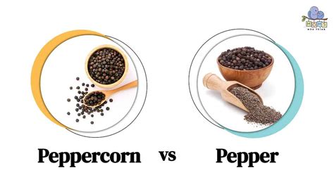 Black peppercorns and ground pepper