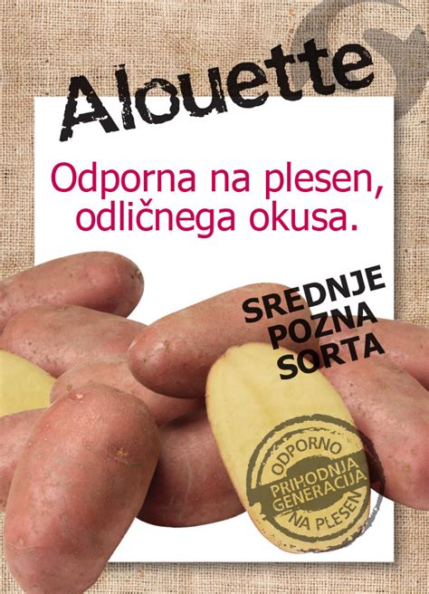 infografika o različnih tipih krompirja in njihovi kulinarični uporabi