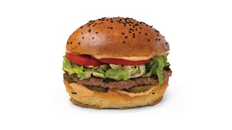 prikaz različnih vrst burger polpet (mesnih in zelenjavnih)