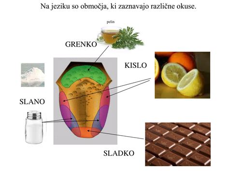 Infografika: Krog okusov in ravnotežje med njimi (sladko, slano, kislo, grenko, umami)