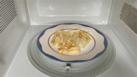 A plate of crispy golden fries coming out of a microwave oven