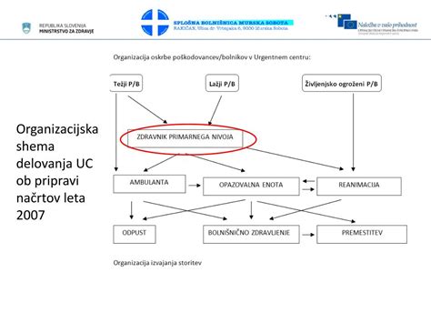 Shema delovanja žolčnika in žolčnih poti