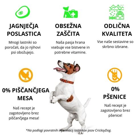 Infografika o količinah brokolija glede na velikost psa