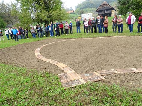 Fotografija pšeničnih polj in pšeničnih zrn