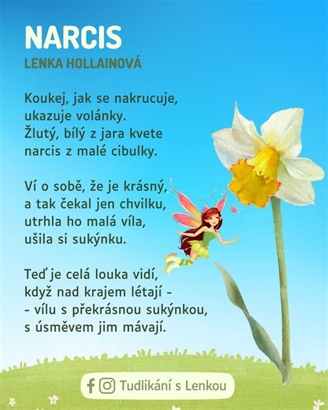 Shema pravilne izbire hrenove korenine: prikaz gladke in čvrste korenine v primerjavi s staro in povešeno.