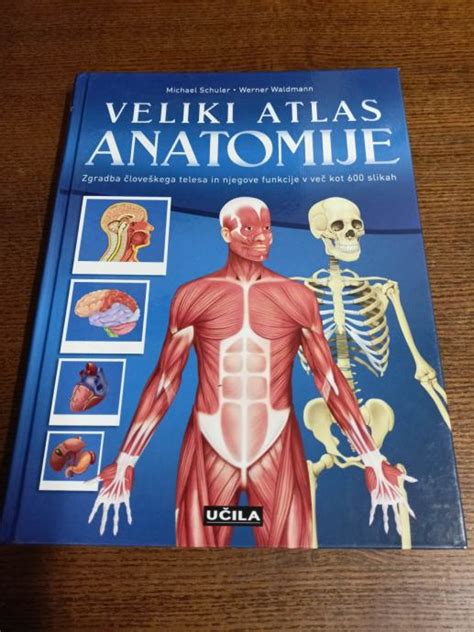 Ilustracija anatomije človeških jeter z označenimi glavnimi deli in funkcijami