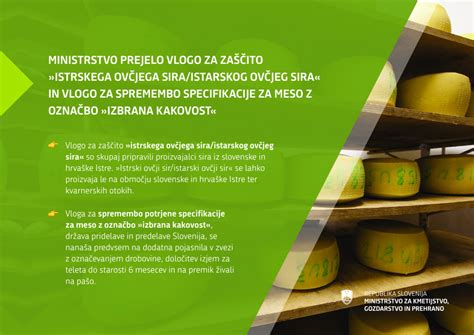 shema z dimenzijami in opisom teksture istrskega ovčjega sira