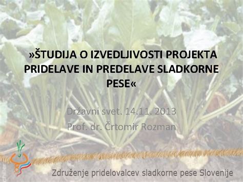 shema pridelave sladkorne pese: od setve in nege do industrijske predelave v tovarni