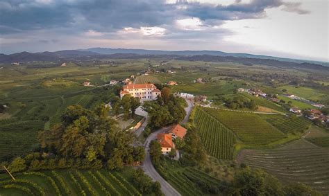 Panoramski razgled iz terase Vile Vipolže na Goriška Brda.