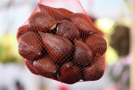 Kačji sadež (salak)