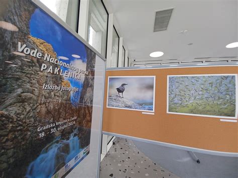 fotografija vode in svežih pridelkov