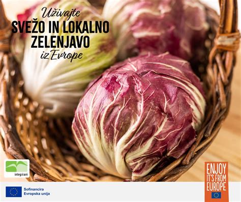 Infografika o uporabi koromača (surov, kuhan, pečen)