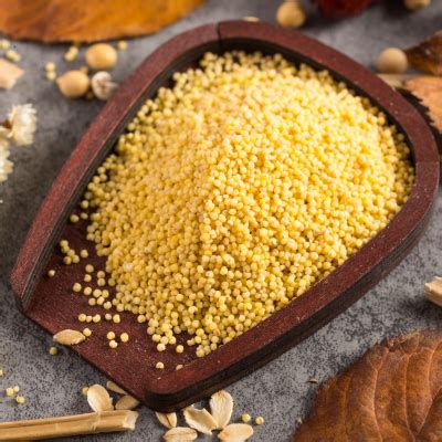 Skuhana prosena kaša, pripravljena za nadaljnjo uporabo