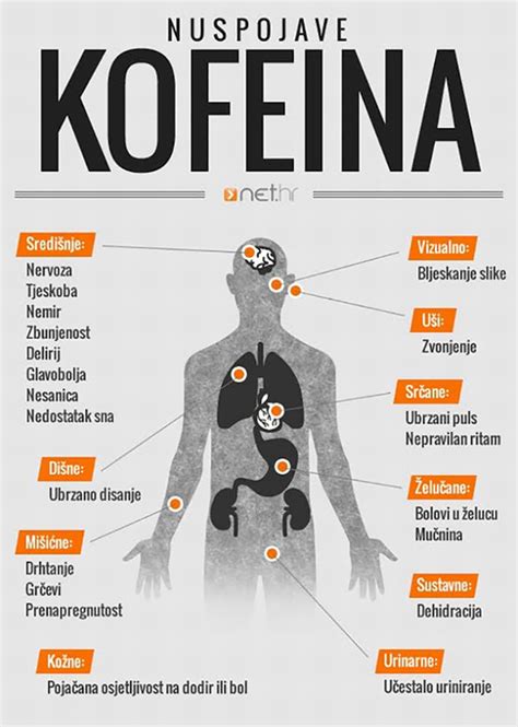 Infografika: Primeri zložljivih komponent menažk