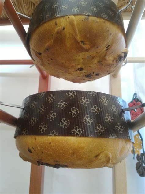 Prikaz različnih faz vzhajanja testa za panettone