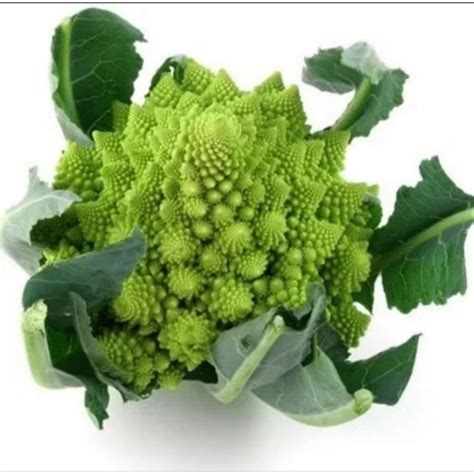 Tematska fotografija: Romanesco brokoli
