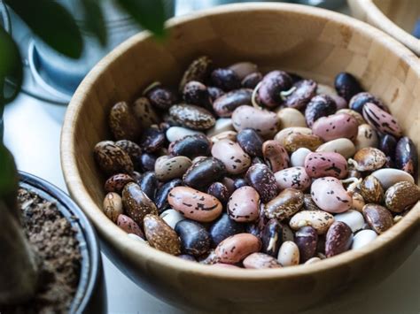 priprava fižola za namakanje v skledi