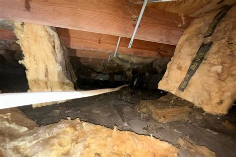 Infographic showing common issues in unrenovated attics (poor insulation, lack of light, structural problems)